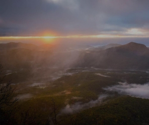 Leistungen Zirngibl Bestattungen