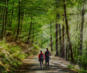 Home Vorsorge Section Bg