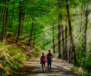 Home Section Bg Vorsorge